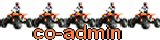 Co-Admin
