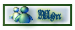 MSN