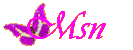 MSN