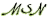 MSN