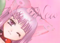 No new posts
