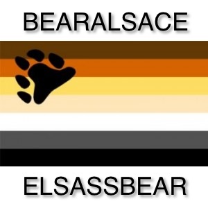 Bear-Alsace Index du Forum
