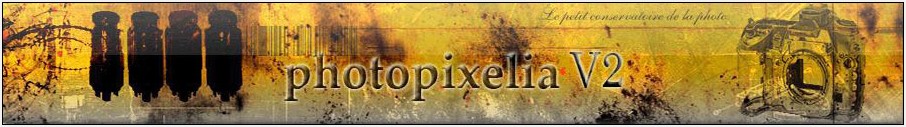 Photopixelia Version 2 Forum Index