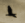No new posts