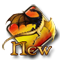 New posts