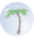 No new posts [ Popular ]