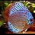 Discus (Symphysodon aequifasciatus)