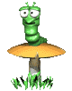 No new posts
