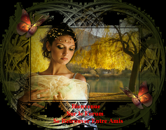 SE RETROUVER ENTRE AMIS Forum Index