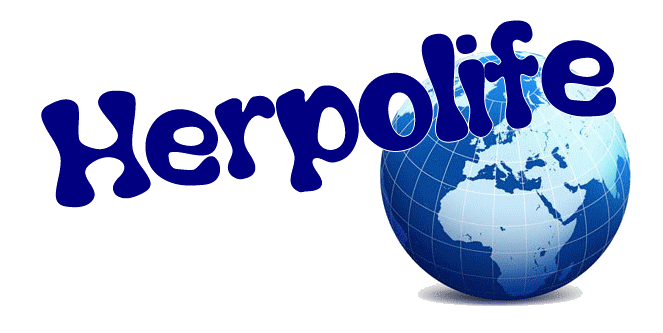 Forum officiel de herpolife Forum Index