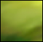 No new posts [ Popular ]