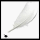 New posts
