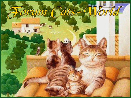 Cats-World Forum Index