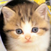 crédit : xooimage.com