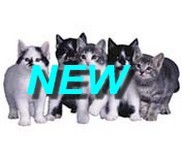 New posts