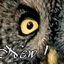 New posts