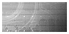 New posts [ Locked ]