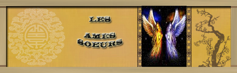 Les âmes soeurs Forum Index