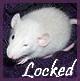 No new posts [ Locked ]