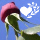 New posts