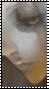 New posts