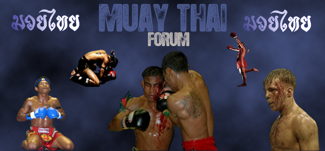 MUAYTHAIFORUM Forum Index