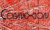 Log in