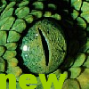 New posts