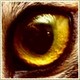 New posts