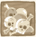 Usergroups