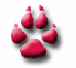 No new posts [ Popular ]
