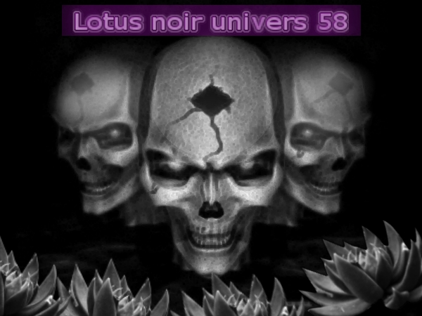 Lotus Noir Index du Forum
