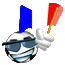 allez la france