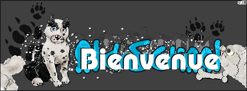 Bienvenue Dans Petz  Forum Index