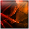 No new posts [ Popular ]