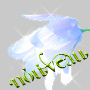 New posts