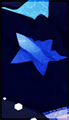 No new posts