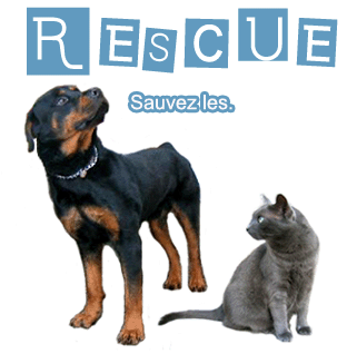 Forum sauvetage RESCUE