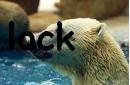 This forum is locked: you cannot post, reply to, or edit topics. This forum is locked: you cannot post, reply to, or edit topics.