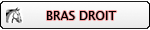 Bras droit