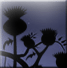 No new posts [ Popular ]