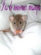No new posts