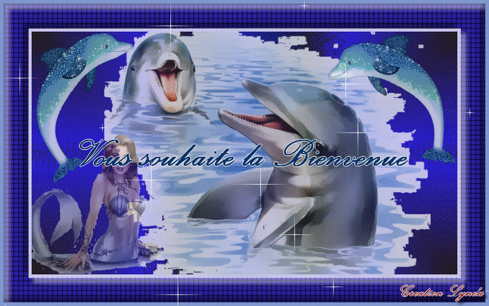Chez les dauphins Forum Index