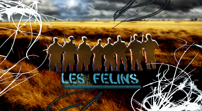 Les Félins