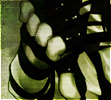 No new posts