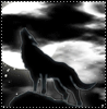 New posts