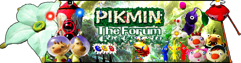  Forum Index