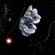 New posts [ Locked ]