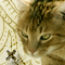 Forum is locked