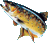 http://img4.xooimage.com/files/c/a/2/truite48pixels-14aac3.gif